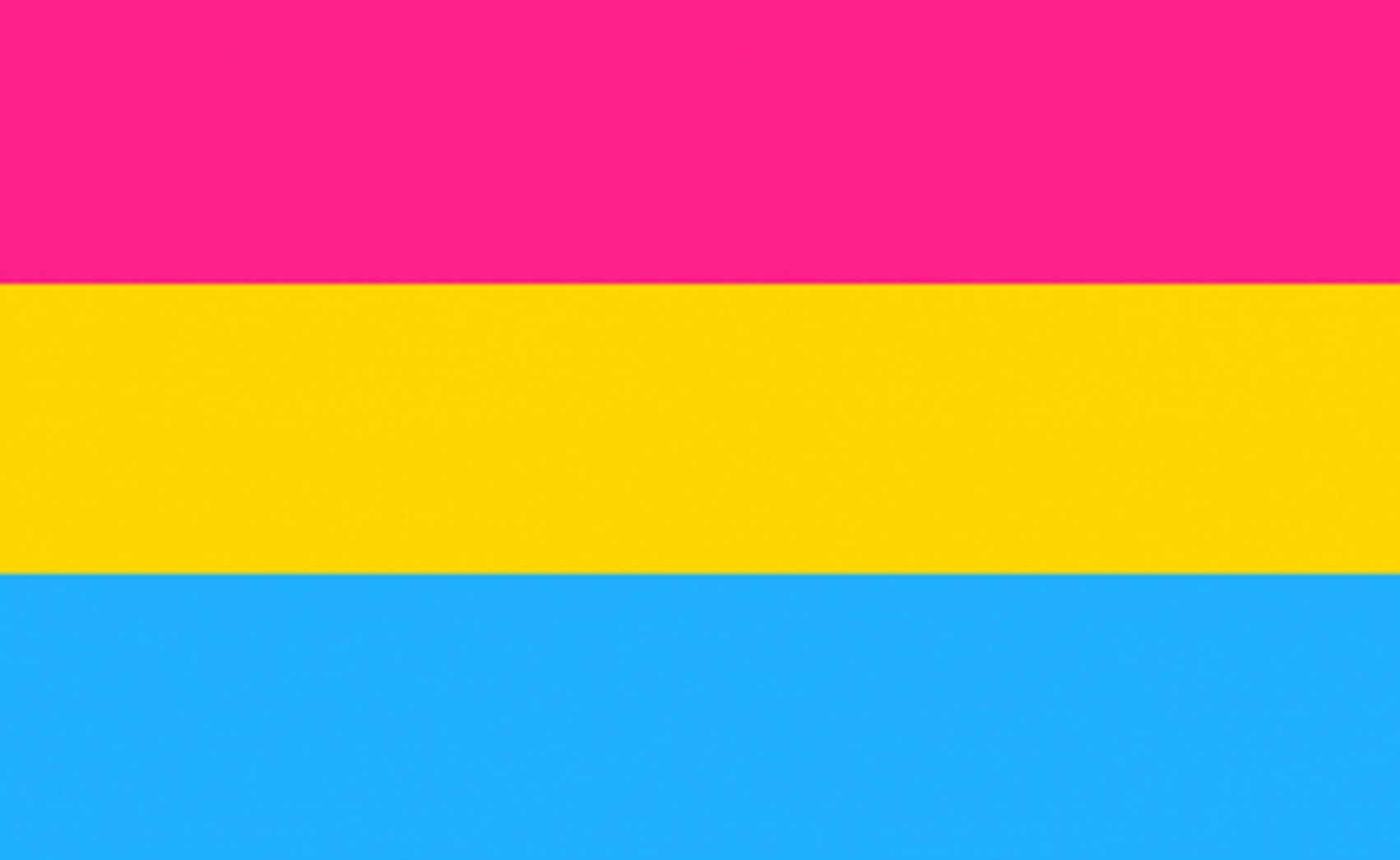 International Day Of Pansexuals And The History Of Their Flag 0476